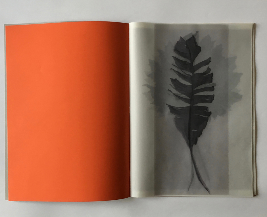 piiartbooks